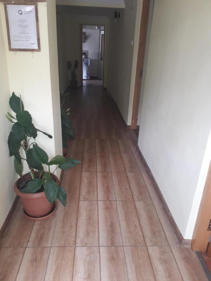 צקאלטובו Nunu'S Guesthouse מראה חיצוני תמונה