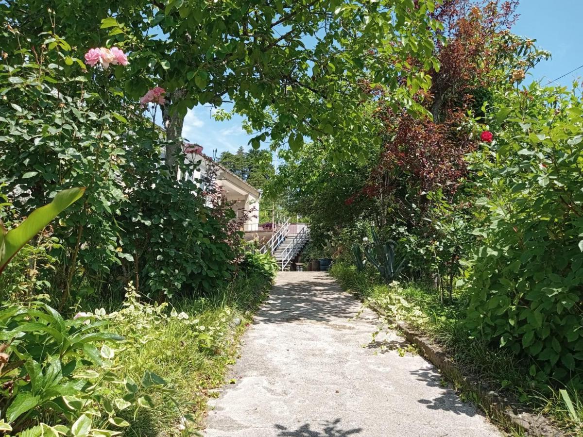 צקאלטובו Nunu'S Guesthouse מראה חיצוני תמונה