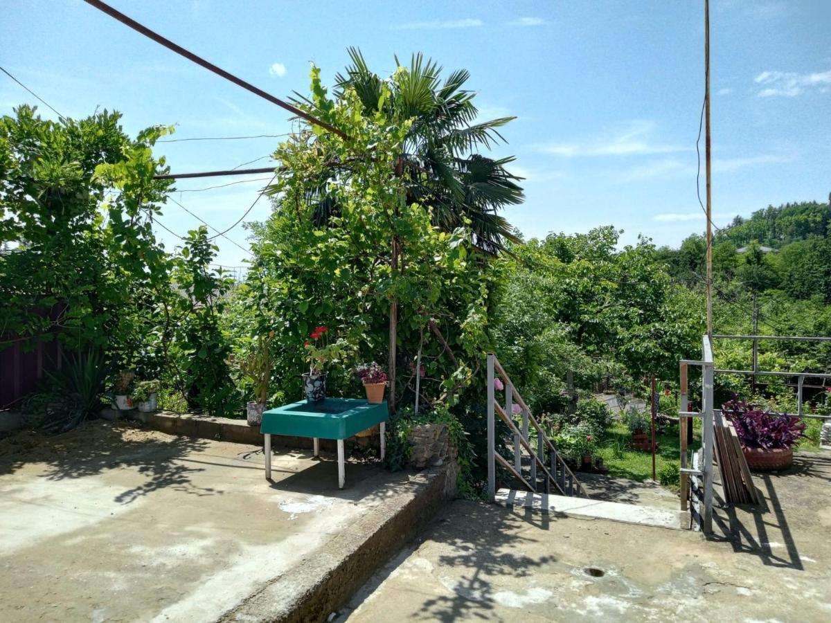צקאלטובו Nunu'S Guesthouse מראה חיצוני תמונה